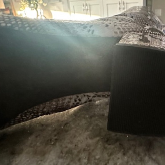 Unbranded Snake Print  Faux Leather Block Heel Boots NEVER WORN - BRAND NEW! 9 M - Picture 15 of 15